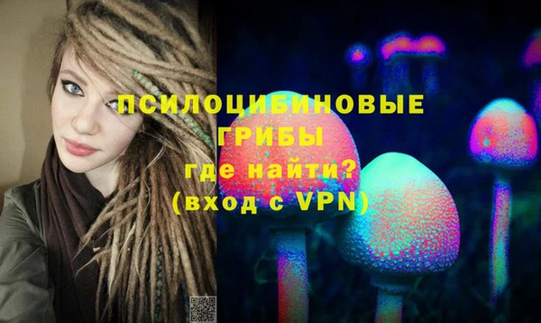 тгк Абаза