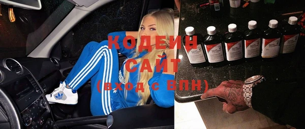 тгк Абаза