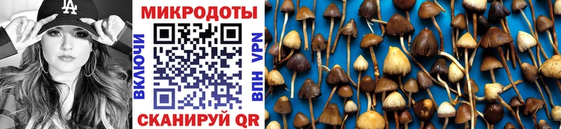 Псилоцибиновые грибы мухоморы  как найти закладки  Киржач 